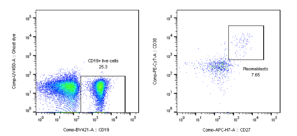 preRA fig4