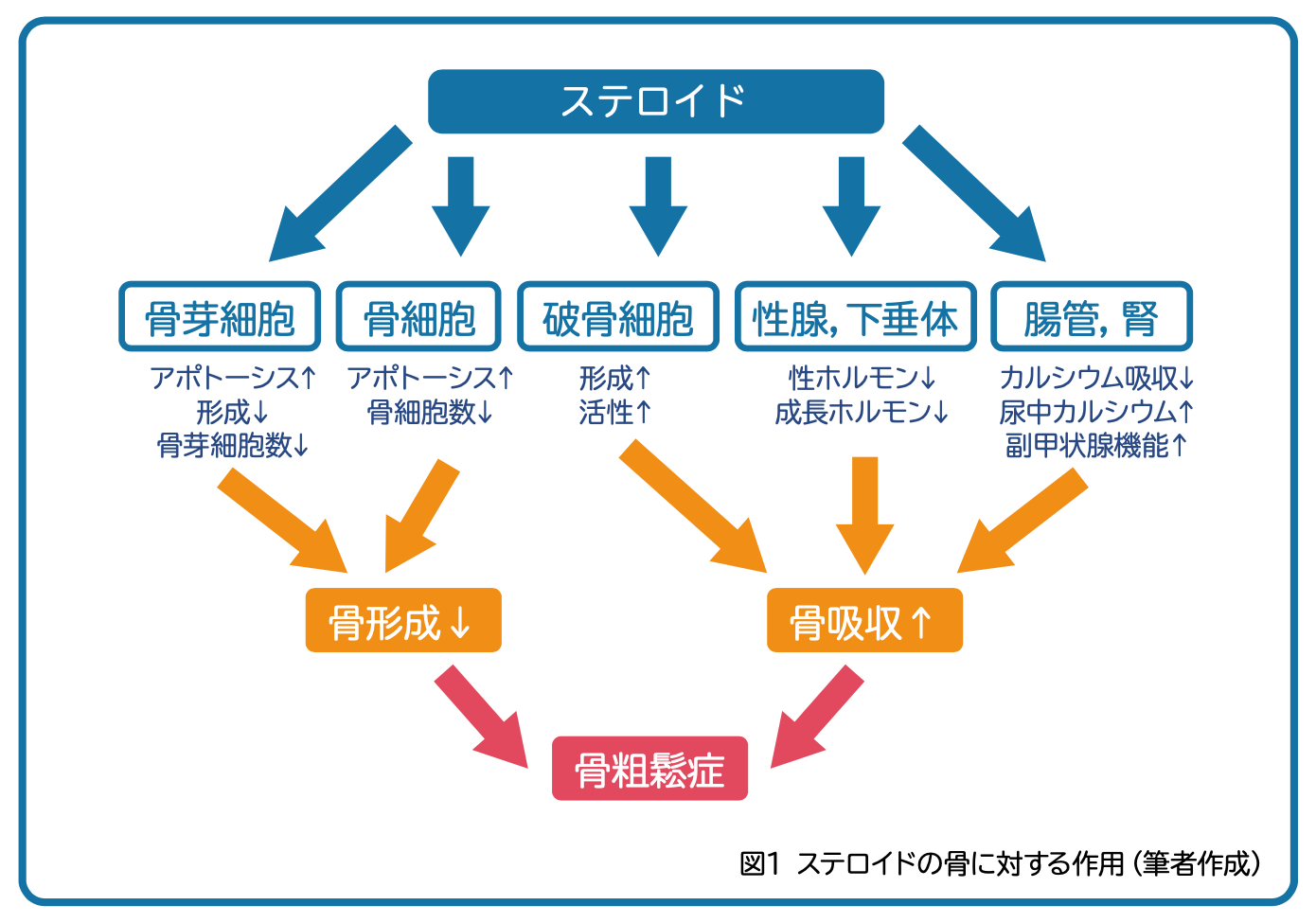 zu_1guidelines